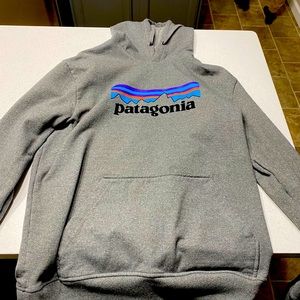 Patagonia Organic Cotton Hoodie